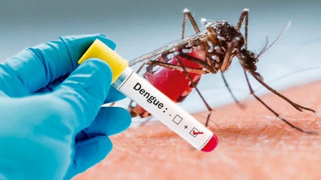 En Arboletes se triplicaron los casos de dengue por la sequía