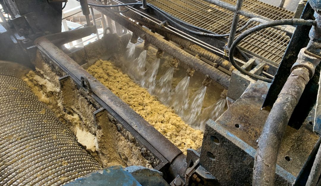 Cañicultores esperan arancel del 22% a importaciones de etanol de EE.UU.