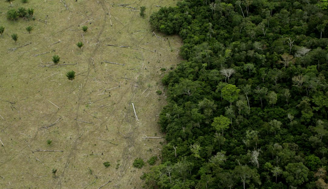 Pacto por la deforestación de la Amazonía: Se firma pacto contra la deforestación en la Amazonía