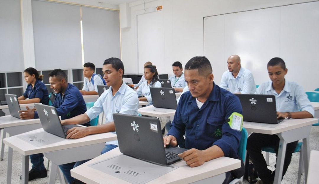 Cómo estudiar en el Sena: SENA y Microsoft en alianza por el campo tecnológico