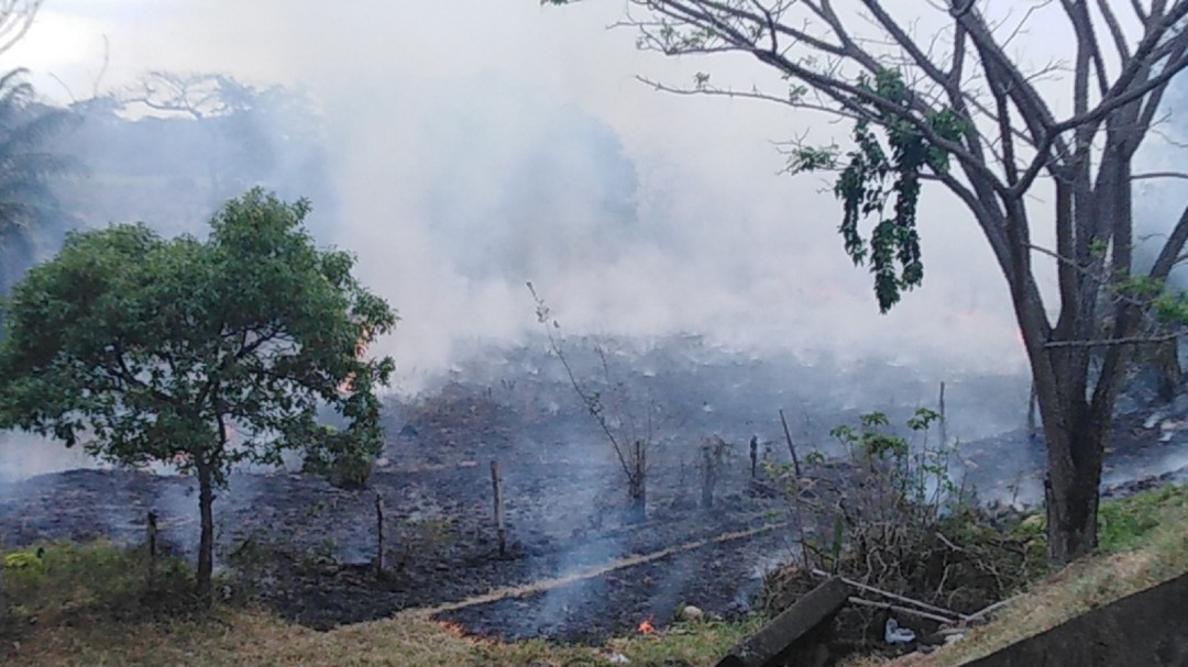 En Pore, Casanare, evitan las quemas