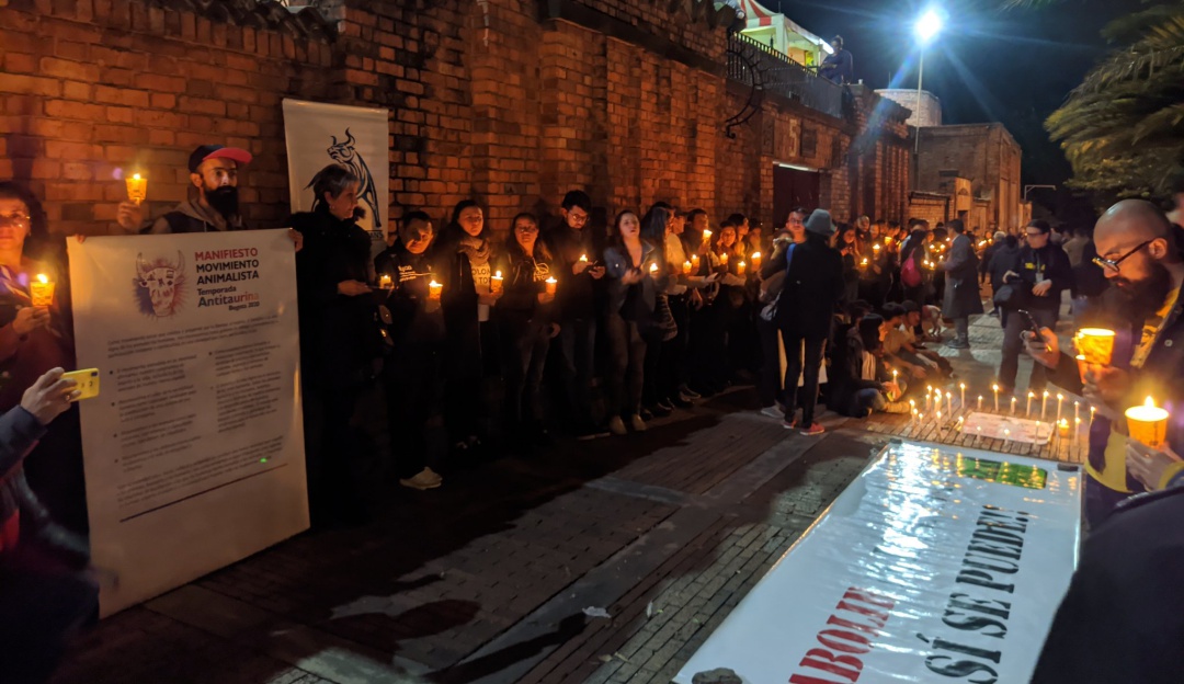 Rechazo a corridas toros Bogotá: Meditación y velatón, dan inicio a "temporada antitaurina" en Bogotá