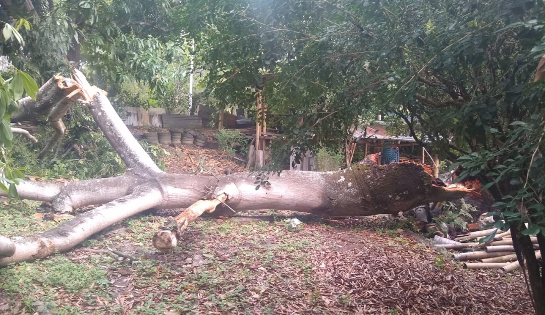 Lluvias en Tolima: Lluvias ocasionan en emergencia en Honda, Tolima
