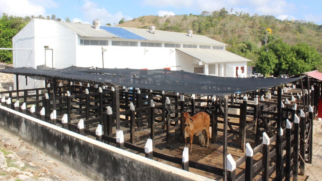 Invima retiró sellamiento a la planta de sacrificio de Lorica