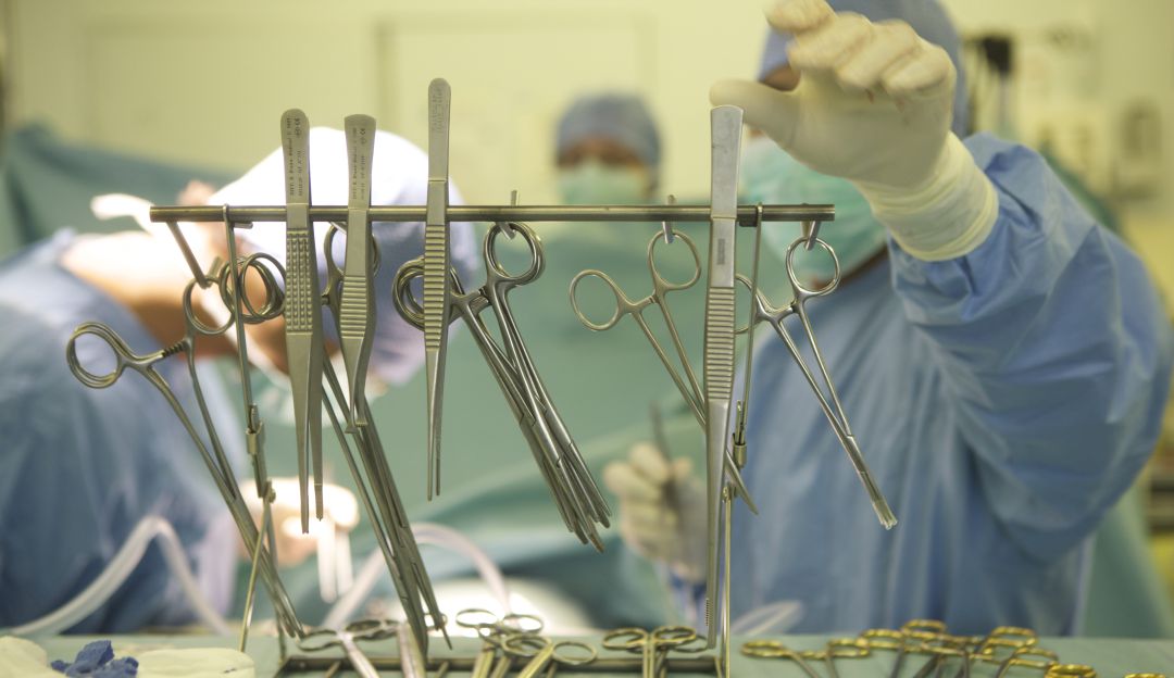 Órganos para trasplantes: Matching Renal, el sistema que asignará los órganos para trasplantes