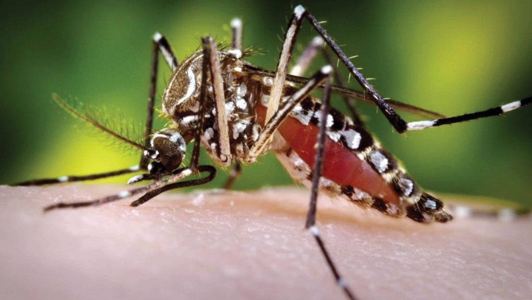 Colombia en alerta epidemiológica por dengue