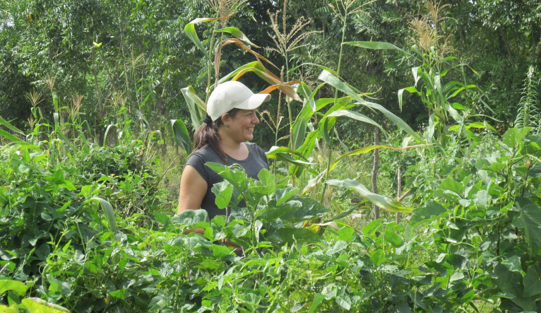 Reunión funcionarios FAO sobre seguridad alimentaria Bolívar: Funcionarios de la FAO priorizarán seguridad alimentaria en Bolívar