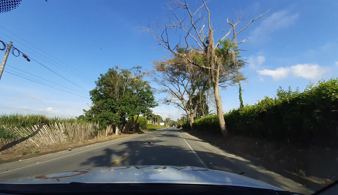 La mezcla de verde y azul por estos días en el cielo del Quindío