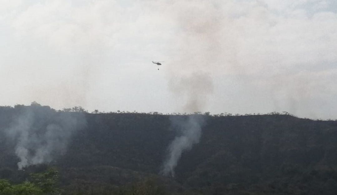 Incendio en Carmen de Apicalá: Incontrolable incendio Forestal afecta Carmen de Apicalá