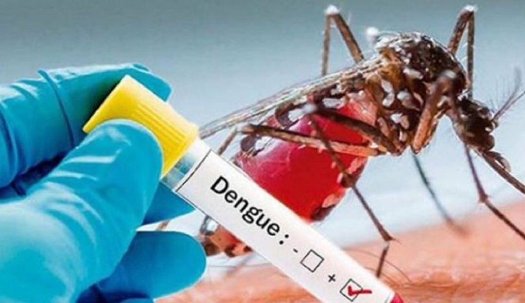 En ocho municipios del Valle, 80 mil viviendas fumigadas contra el Dengue: En ocho municipios del Valle, 80 mil viviendas fumigadas contra el Dengue