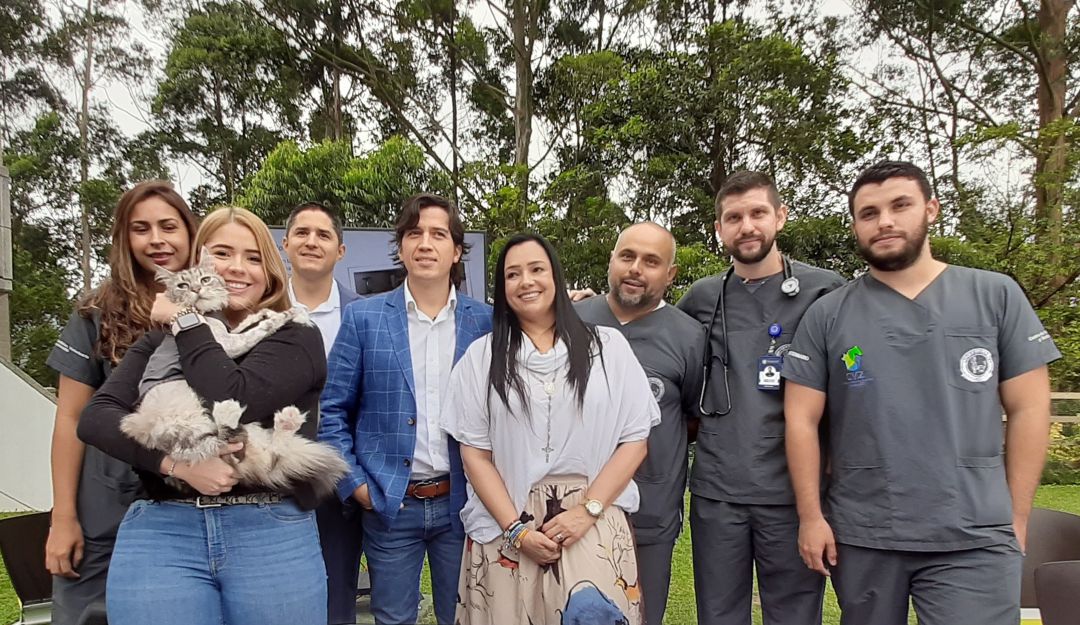 Romeo, el primer gato con marcapasos en Colombia