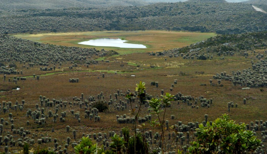 Páramos en Colombia: CAR advierte sobre malas prácticas ecológicas en el Páramo de Sumapaz