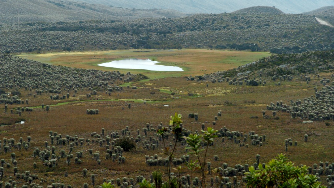 CAR advierte sobre malas prácticas ecológicas en el Páramo de Sumapaz
