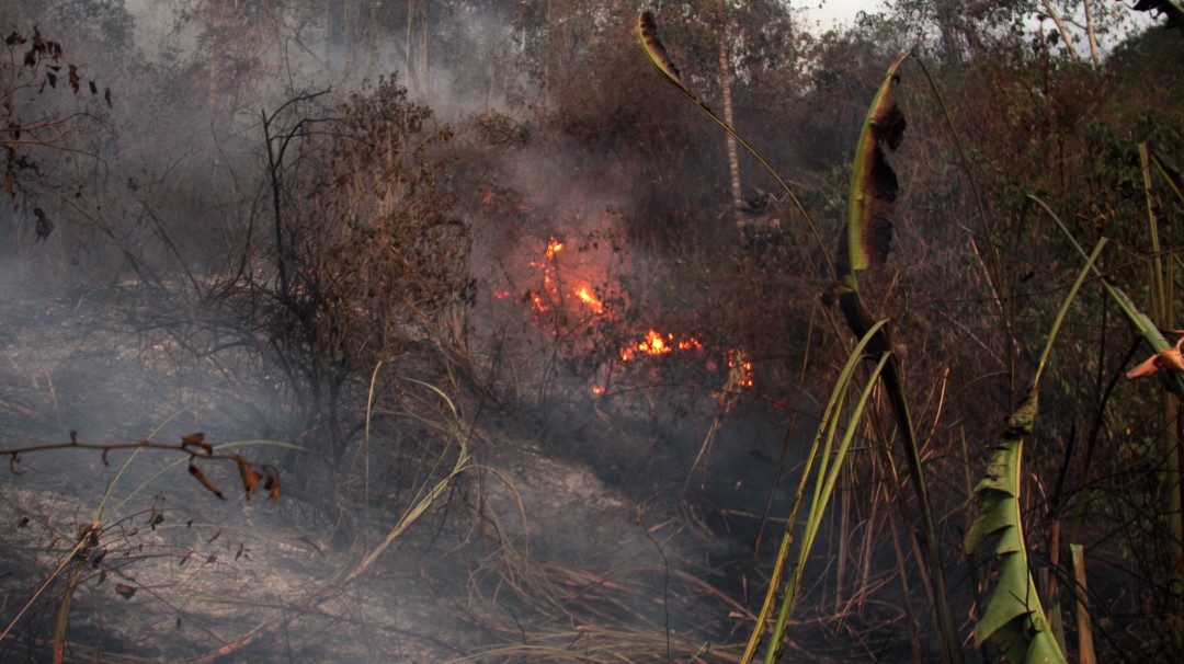 Alerta roja por incendios forestales en la Región Caribe