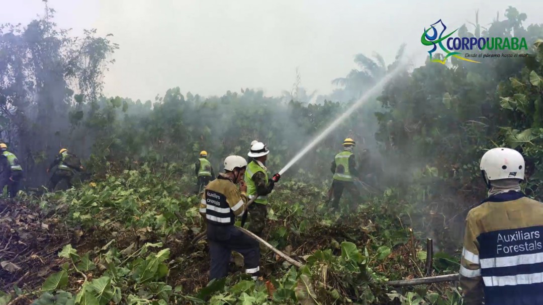 Corpouraba le apuesta a la prevención para evitar incendios forestales
