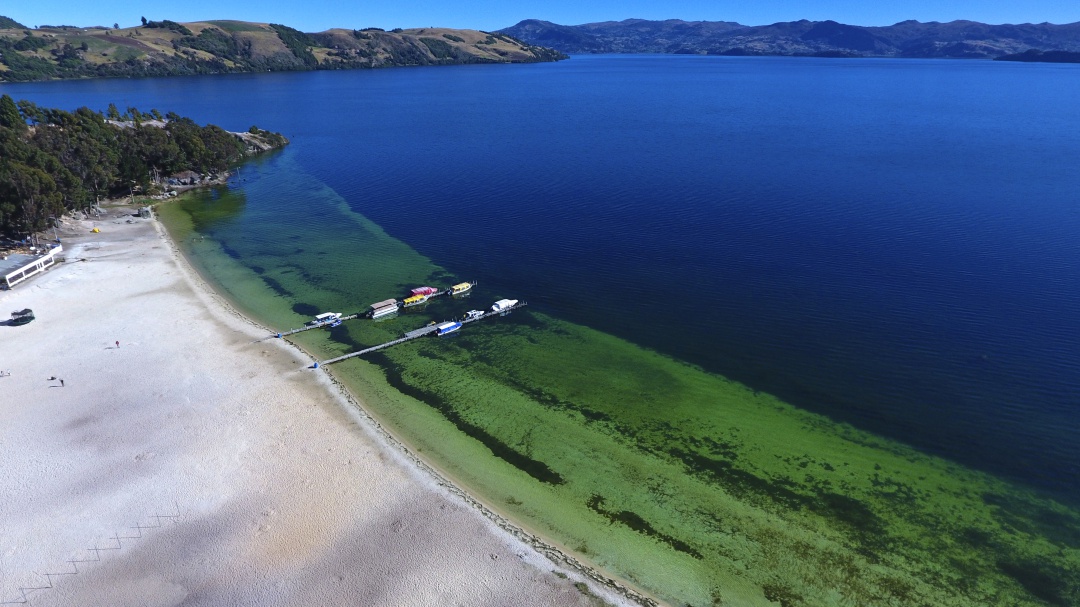Recogieron al menos media tonelada de basura en el Lago de Tota, Boyacá