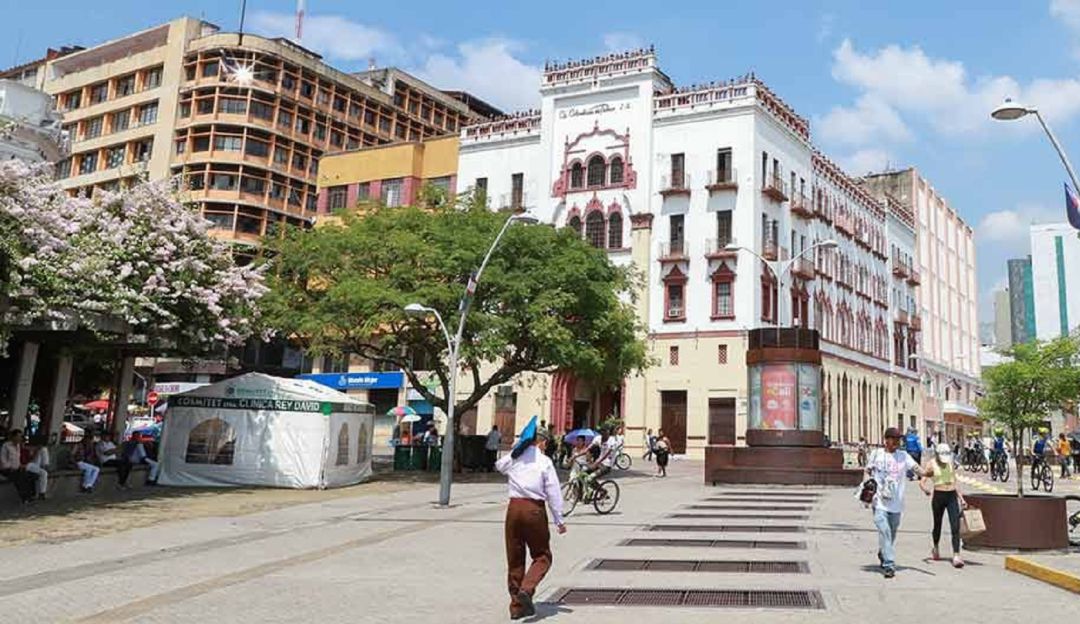 “Por homicidios y violencia de Cali debe intervenir el Gobierno Nacional”: “Por homicidios y violencia en Cali debe intervenir el Gobierno Nacional”