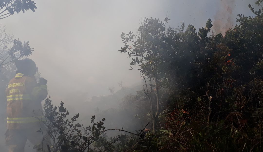 Incendios forestales en Colombia: Más de 300 incendios forestales deja temporada seca en Colombia