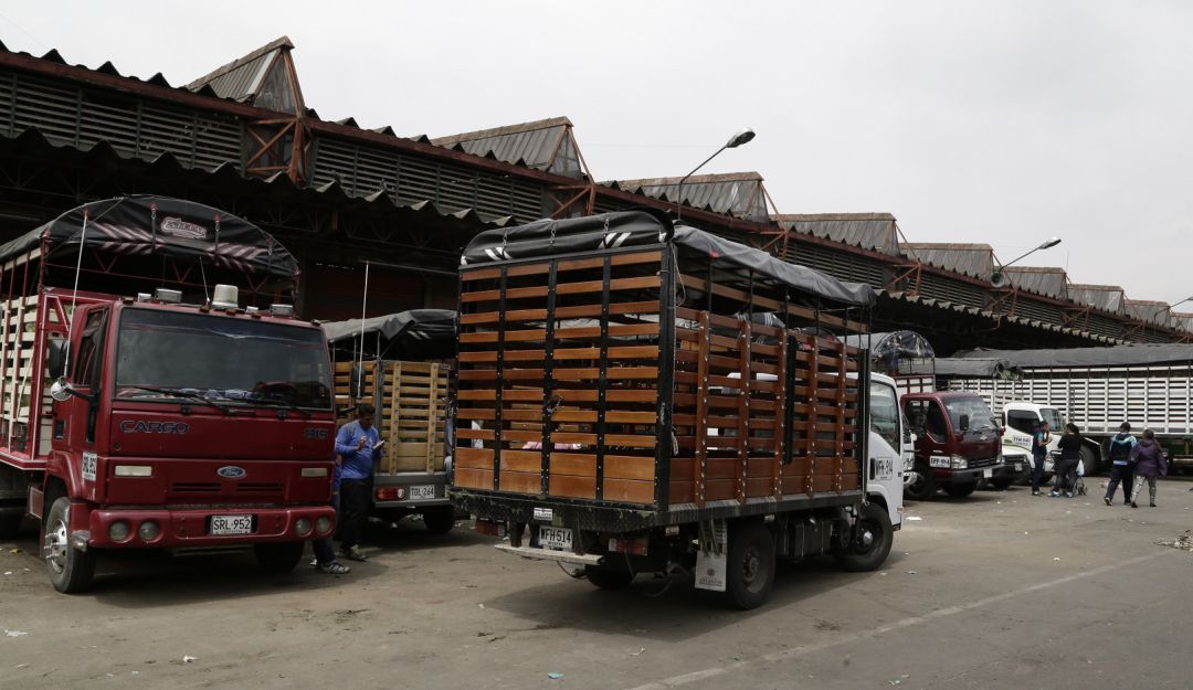 Noticias Bogotá: Corabastos en reorganización en Bogotá: Corabastos iniciaría su reorganización antes del segundo semestre de 2020