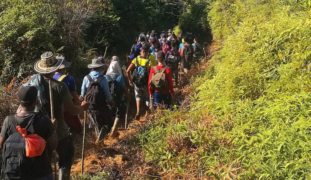 Campesinos sur de Córdoba coca erradicación forzada cultivos de coca: Campesinos de Córdoba se resisten a la erradicación forzada de la coca