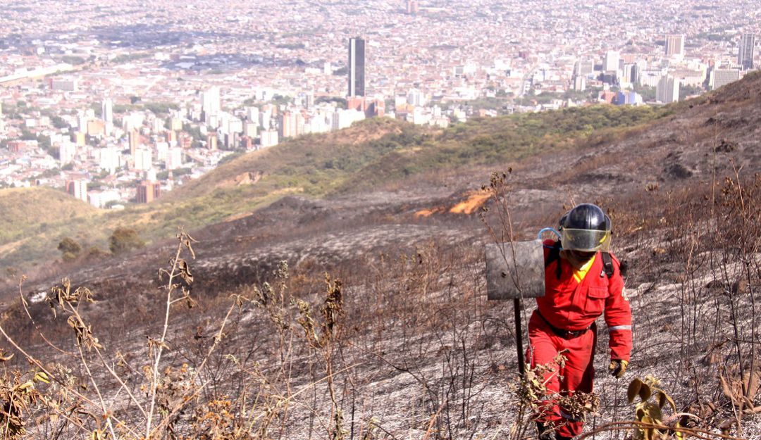 Incendios forestales: Balance de los incendios forestales en el Valle, en lo corrido el año