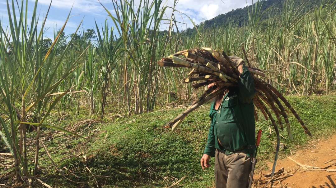 Campesinos en crisis piden condonación de sus deudas