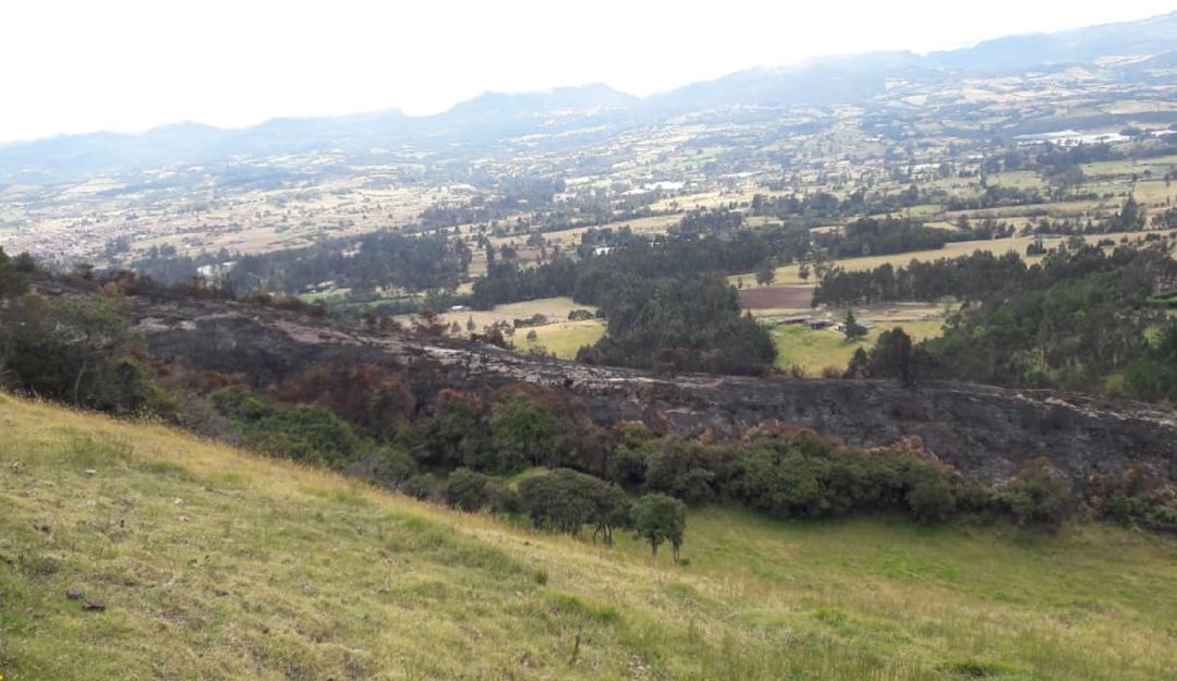 Incendio Guasca: Liquidado incendio forestal provocado por operativo antinarcóticos