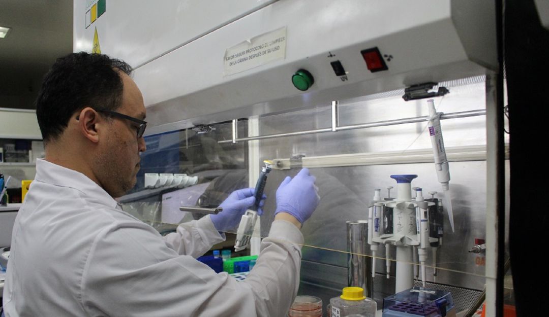 Bucaramanga cáncer gástrico investigación médicos Santander: FCV investiga alternativa para tratar cáncer gástrico