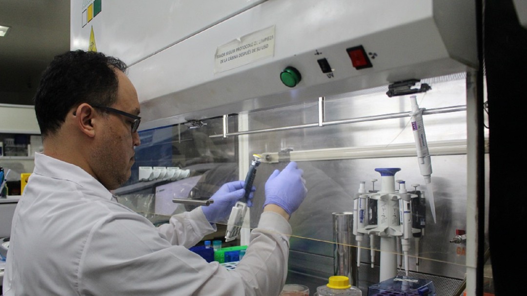 FCV investiga alternativa para tratar cáncer gástrico