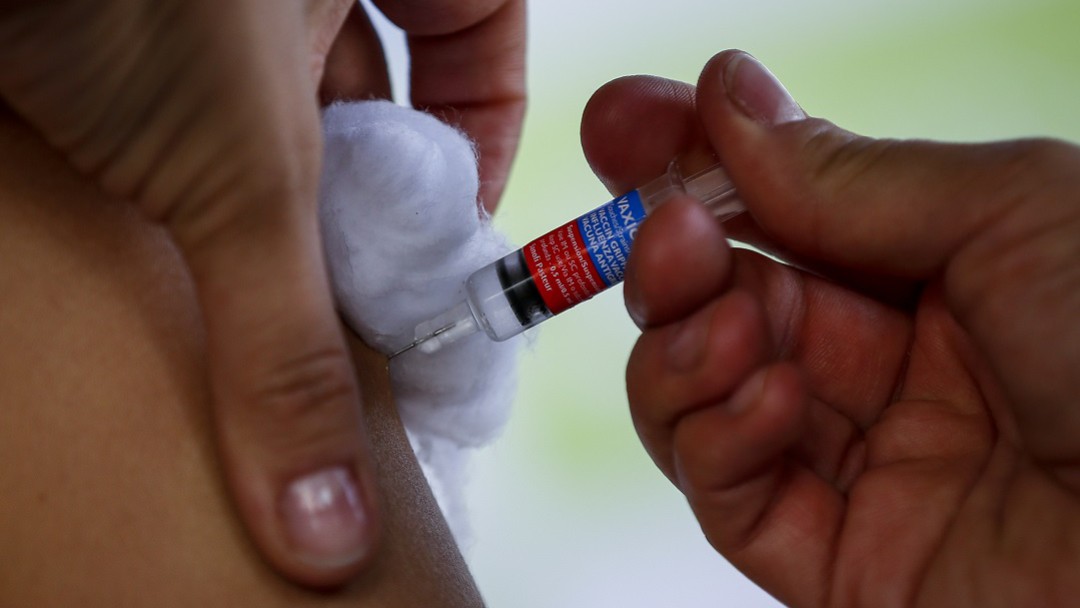 En la contingencia de coronavirus, puede vacunarse contra 26 enfermedades