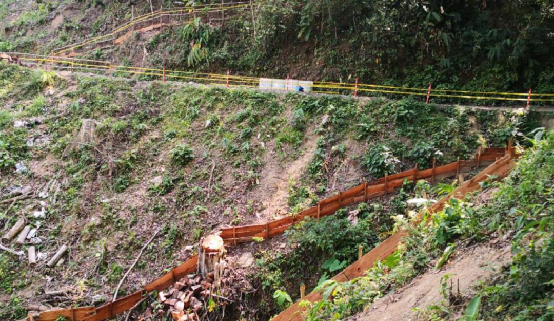 Ambienta tala arboles cerro La Judia Anla 5 mil árboles: Se han talado 5 mil árboles para la conectante C1 - C2