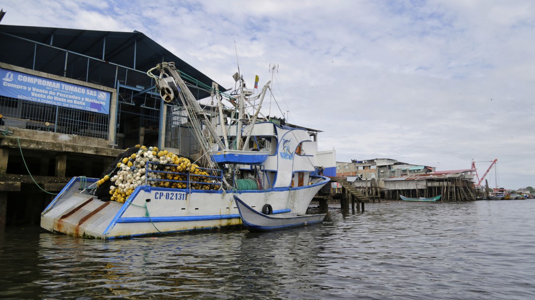 Estricto control en Tumaco por buque proveniente de Asia