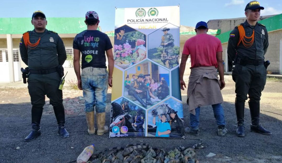 Capturan a dos sujetos por delito de aprovechamiento ilícito de recursos na: Capturados por el delito de aprovechamiento ilícito de recursos naturales