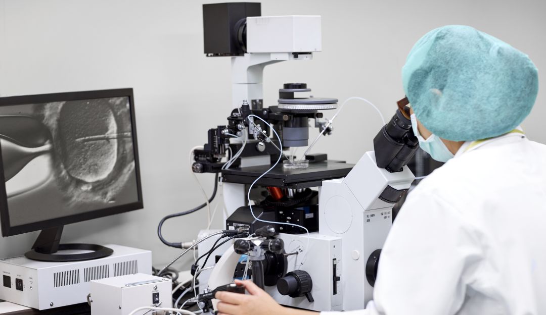 Fertilización in vitro: Estado debe garantizar fertilización in vitro de pareja de bajos recursos