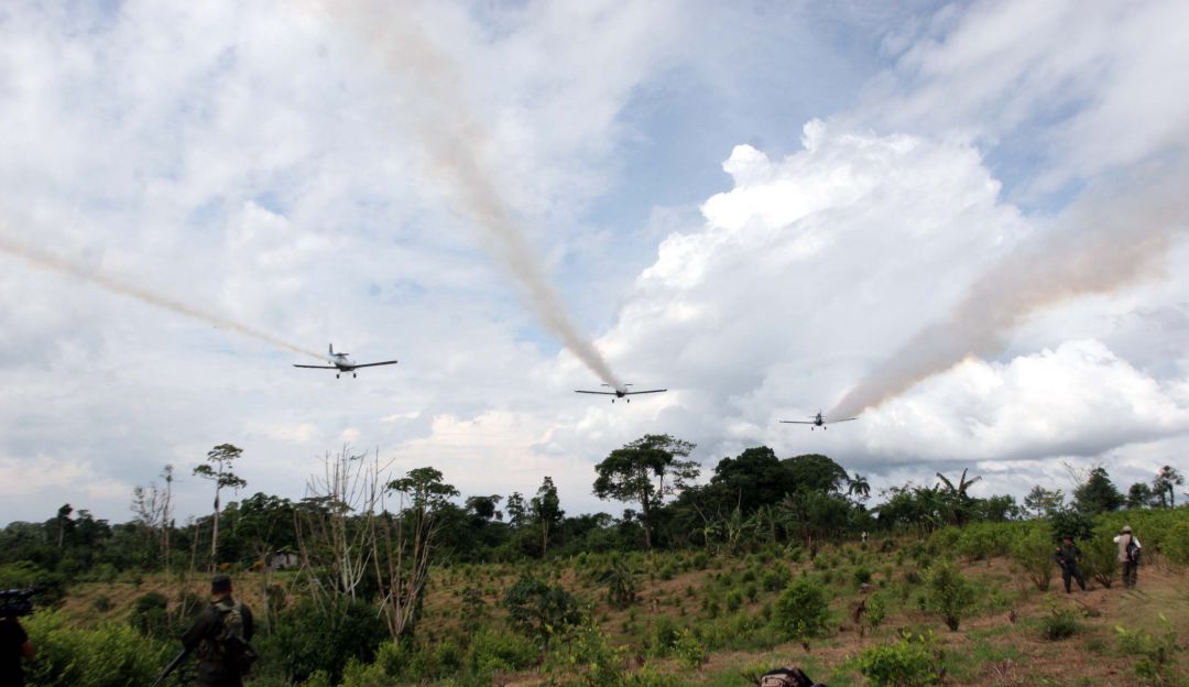 Fumigación con glifosato: Oposición advierte de comunidades en riesgo por aspersión aérea