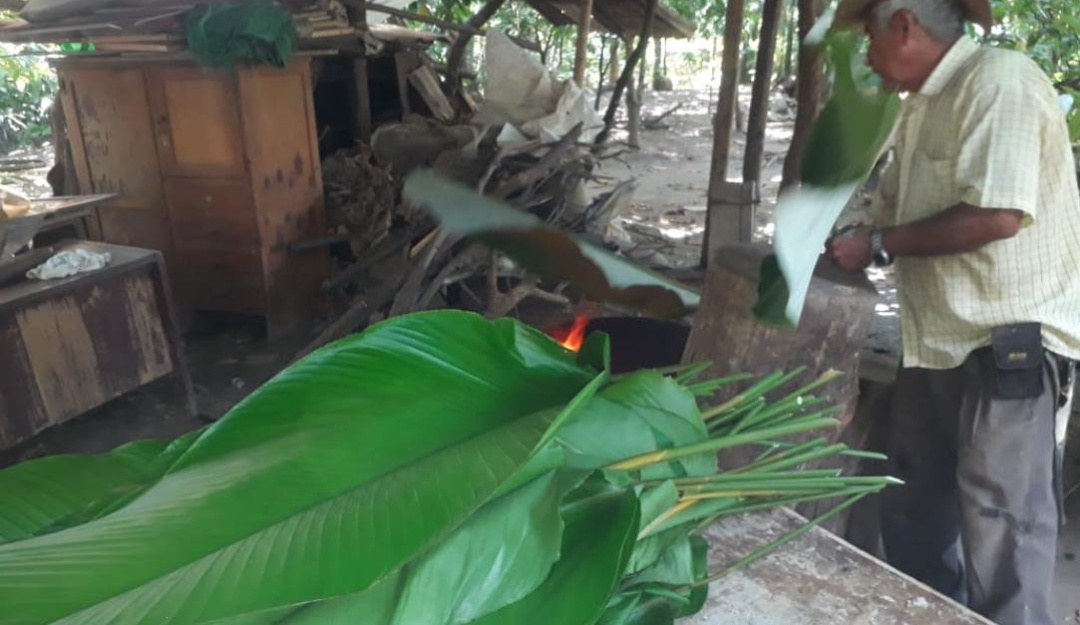 Proceso de la hoja de bijao realizado por José Duarte en Villavicencio