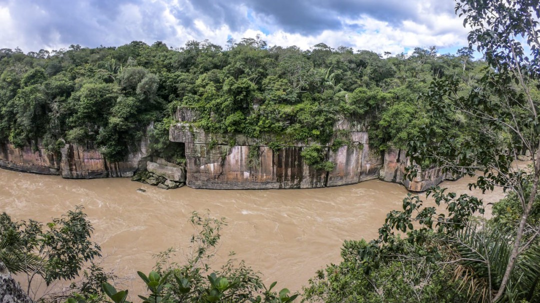 Inicia operación para recuperar el Parque Nacional Natural Tinigua