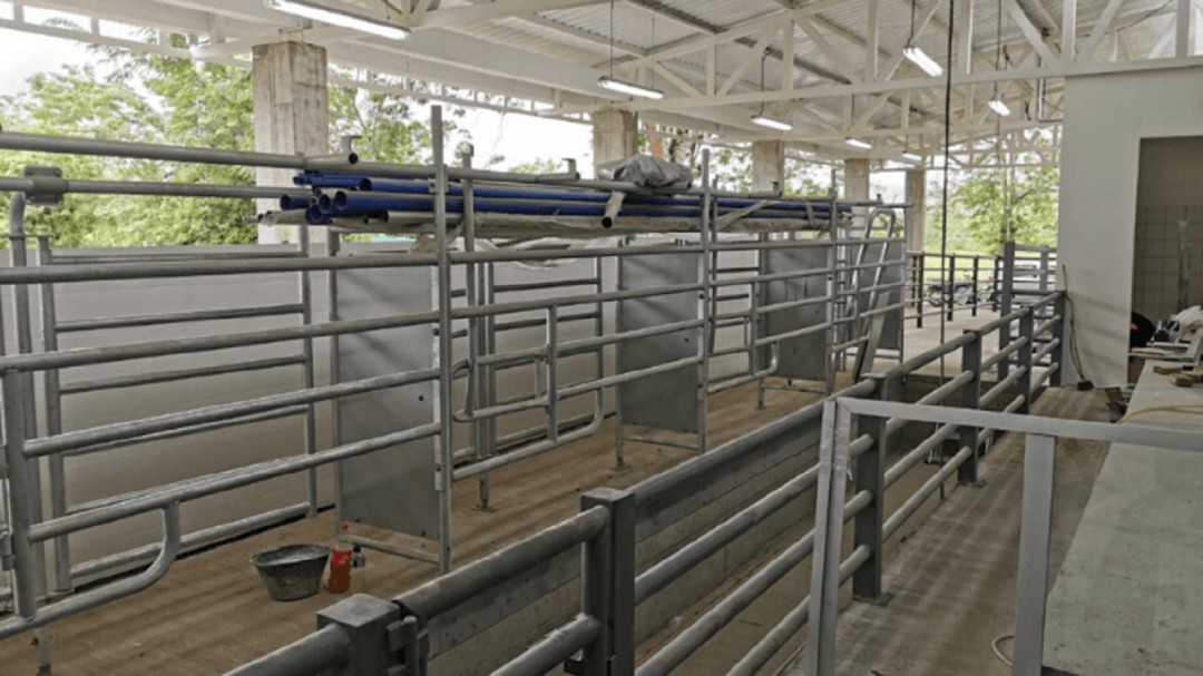 Nueva sala de ordeño para los productores de lácteos en Caldas