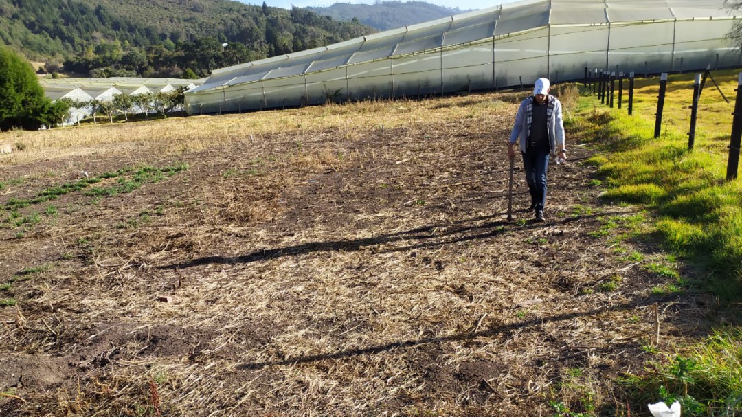 A la tierra hay que dejarla descansar