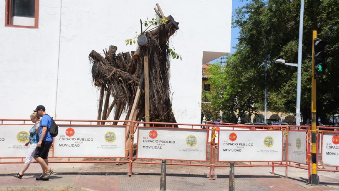 En 6 meses estaría recuperado "Palito de caucho" de La Matuna en Cartagena
