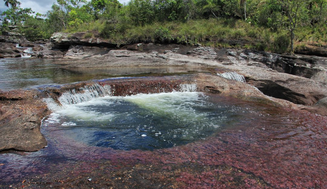 Incendio en la Serranía La Macarena amenaza a Caño Cristales