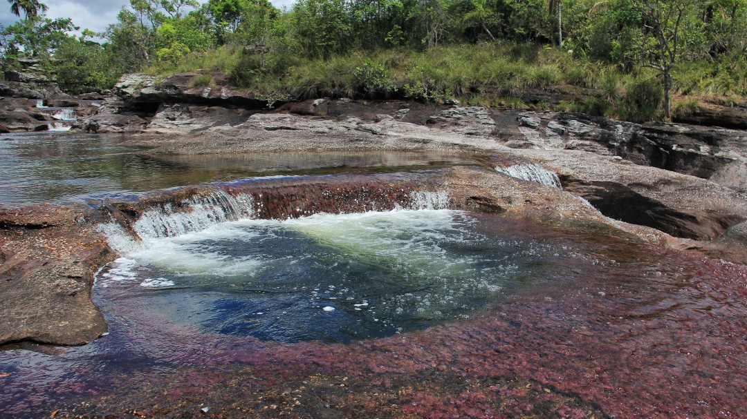 Incendio en la Serranía La Macarena amenaza a Caño Cristales