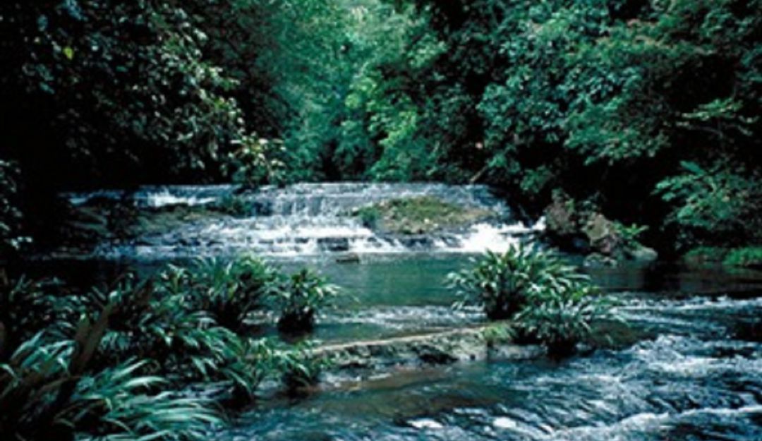 Ejército protegerá parques naturales de Antioquia