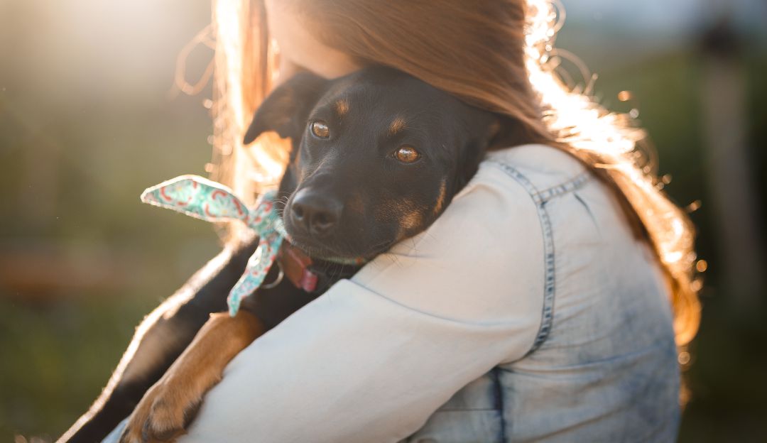 Adopción de mascotas: ¿Pensando en adoptar una mascota? Siga estas recomendaciones