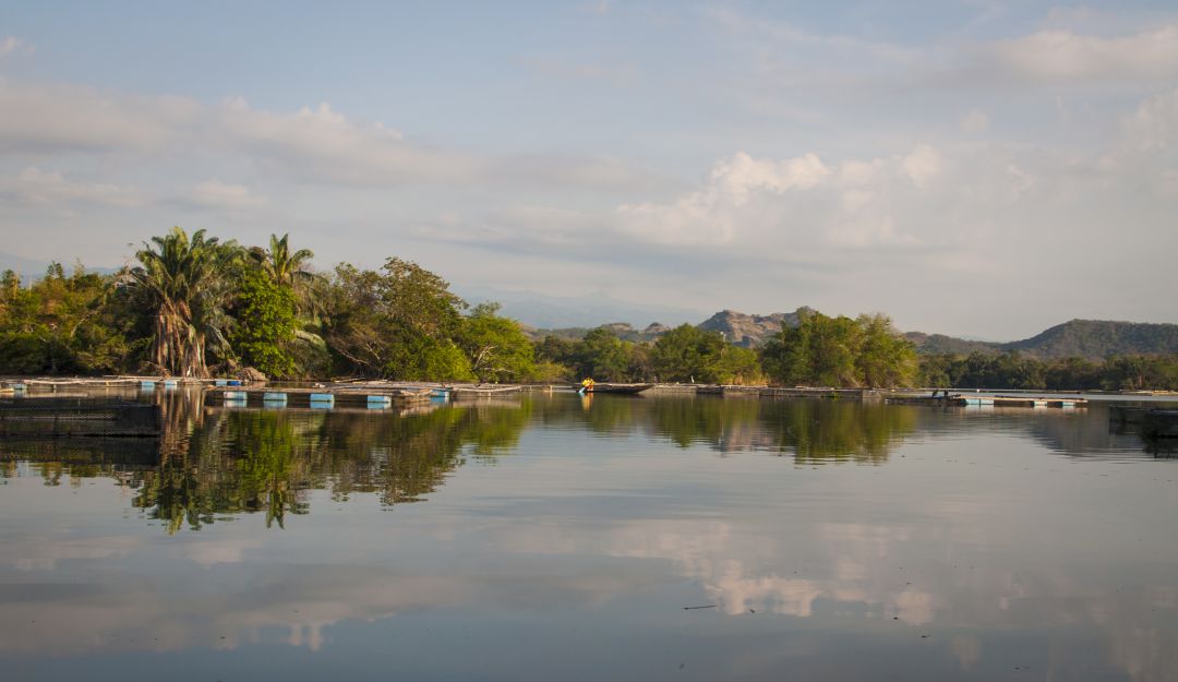 Hacienda San Isidro