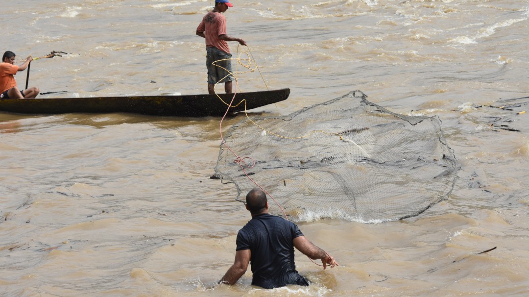 La subienda ha sido poca en el río Magdalena, dicen pescadores