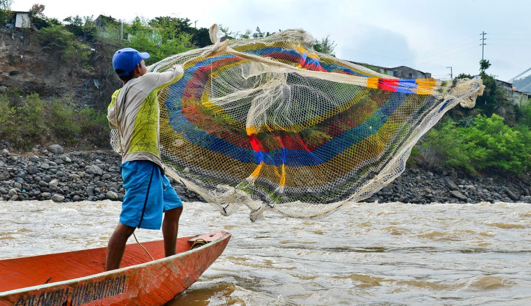 La Subienda, migración de peces del río Magdalena que llegan desde el Atlántico.