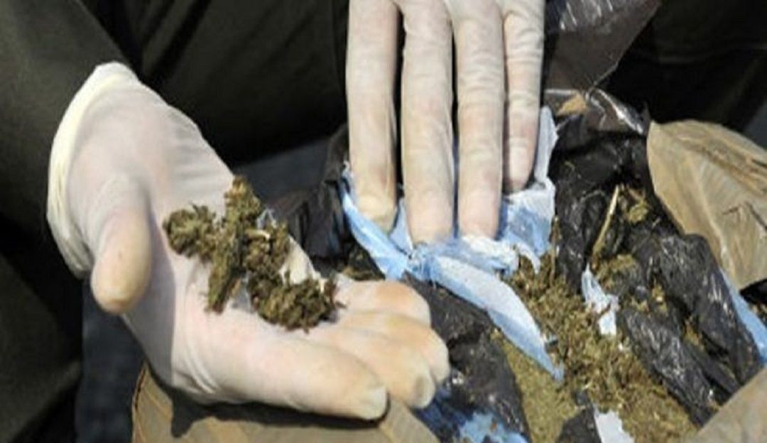 Más de 1.400 gramos de marihuana encontraron en allanamientos de Tunja: Más de 1.400 gramos de marihuana encontraron en allanamientos de Tunja