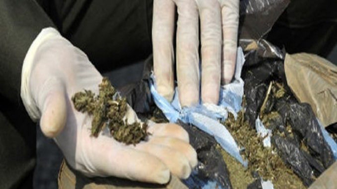 Más de 1.400 gramos de marihuana encontraron en allanamientos de Tunja