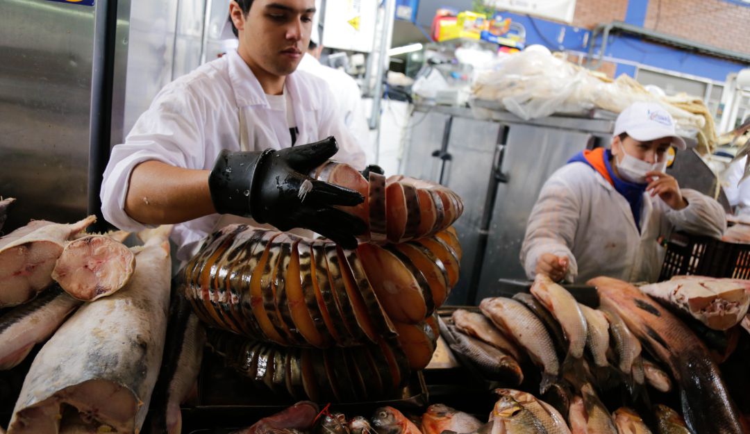 Venta de pescado
